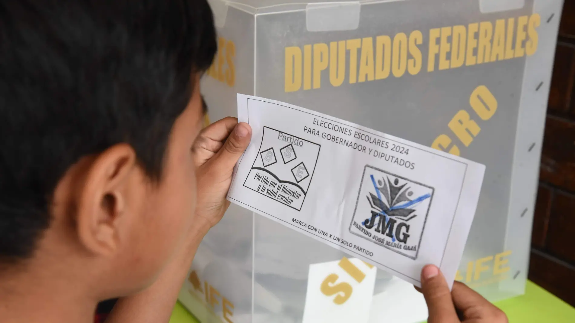 Elecciones escolares Tamaulipas 2024